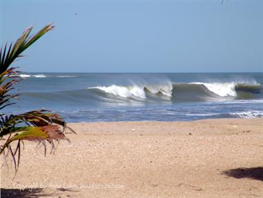 Gambia 02 Der Strand,_DSC02010b_B740